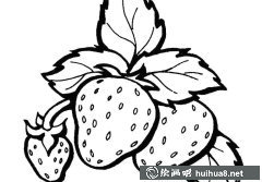 草莓簡筆畫教程分享
