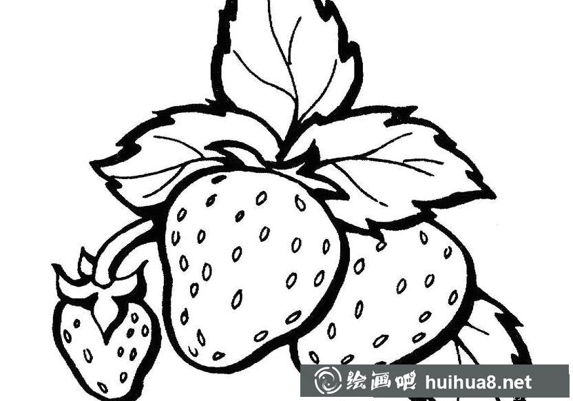 如何畫(huà)草莓 草莓簡(jiǎn)筆畫(huà)