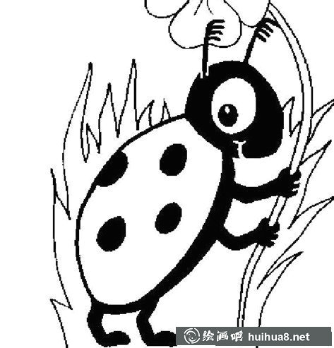 七星瓢蟲簡筆畫圖片