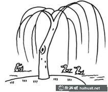 柳樹簡筆畫圖片賞析