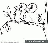小鳥簡筆畫兩只黃鸝鳴翠柳