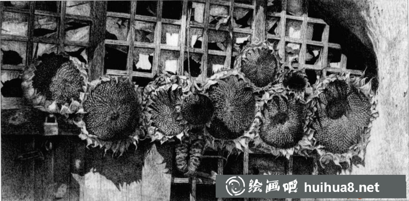 自然之美