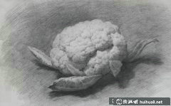 素描靜物蔬菜作品《菜花》