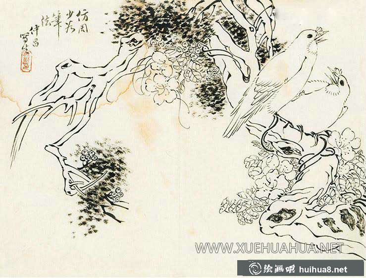白曾熾白描花鳥圖片欣賞(1)