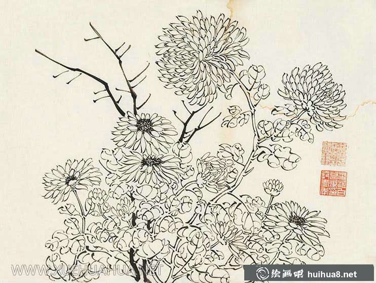 白曾熾白描花鳥圖片欣賞(4)