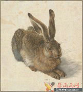 丟勒高清素描動物篇賞析