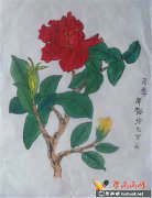 兒童植物繪畫集錦中國畫月季展