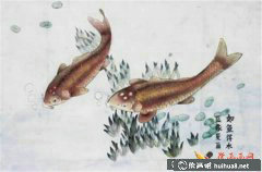 《如魚得水兒童水墨畫佳作》