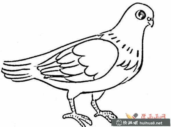 兒童簡(jiǎn)筆畫作品(1)