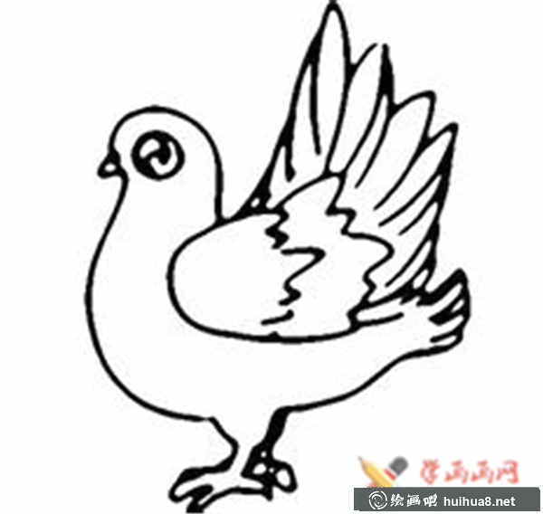 鴿子的簡筆畫