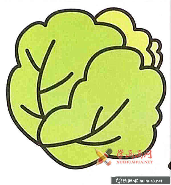 包菜簡筆畫(1)