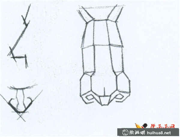 素描鼻子的結(jié)構(gòu)及畫(huà)法(3)