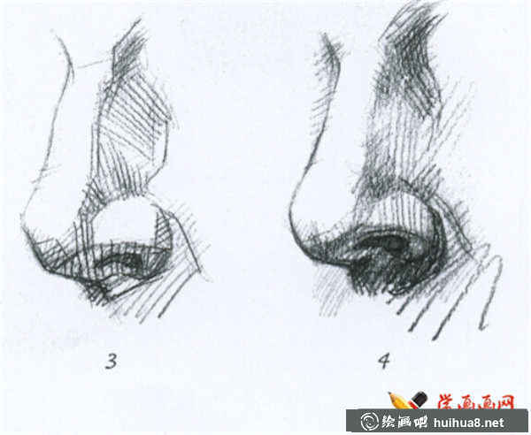 素描鼻子的結(jié)構(gòu)及畫(huà)法(6)