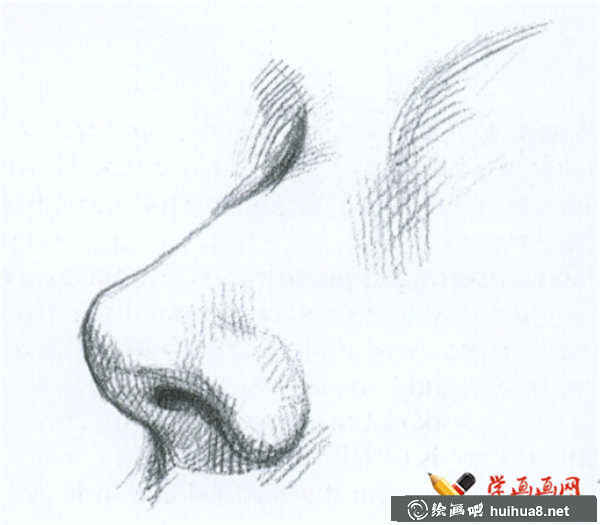 素描鼻子的結(jié)構(gòu)及畫(huà)法(8)
