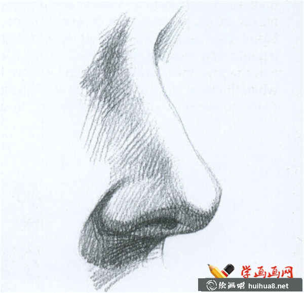 素描鼻子的結(jié)構(gòu)及畫(huà)法(10)