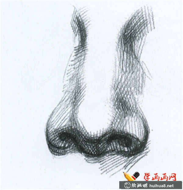 素描鼻子的結(jié)構(gòu)及畫(huà)法(11)