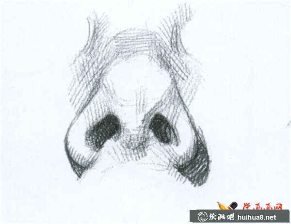 素描鼻子的結(jié)構(gòu)及畫(huà)法(12)