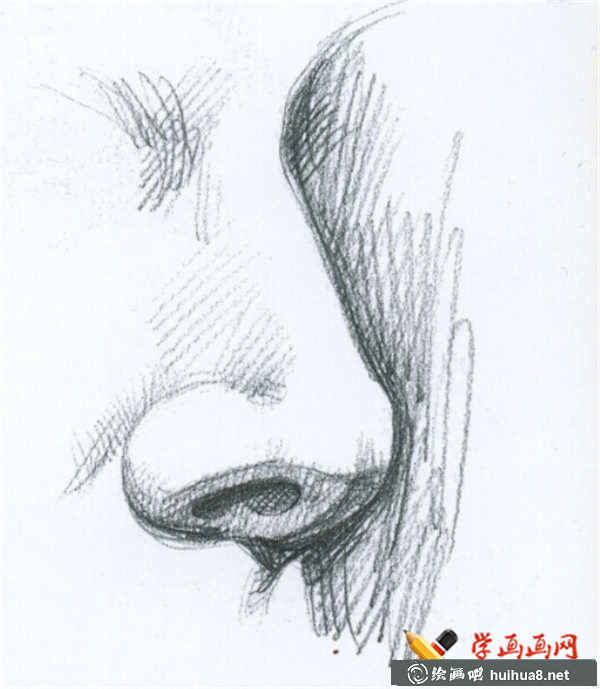 素描鼻子的結(jié)構(gòu)及畫(huà)法(13)