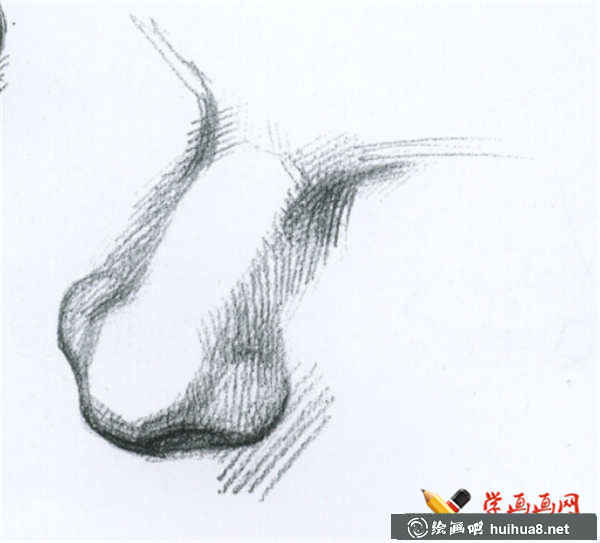 素描鼻子的結(jié)構(gòu)及畫(huà)法(14)