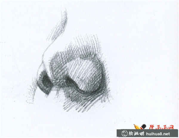 素描鼻子的結(jié)構(gòu)及畫(huà)法(15)