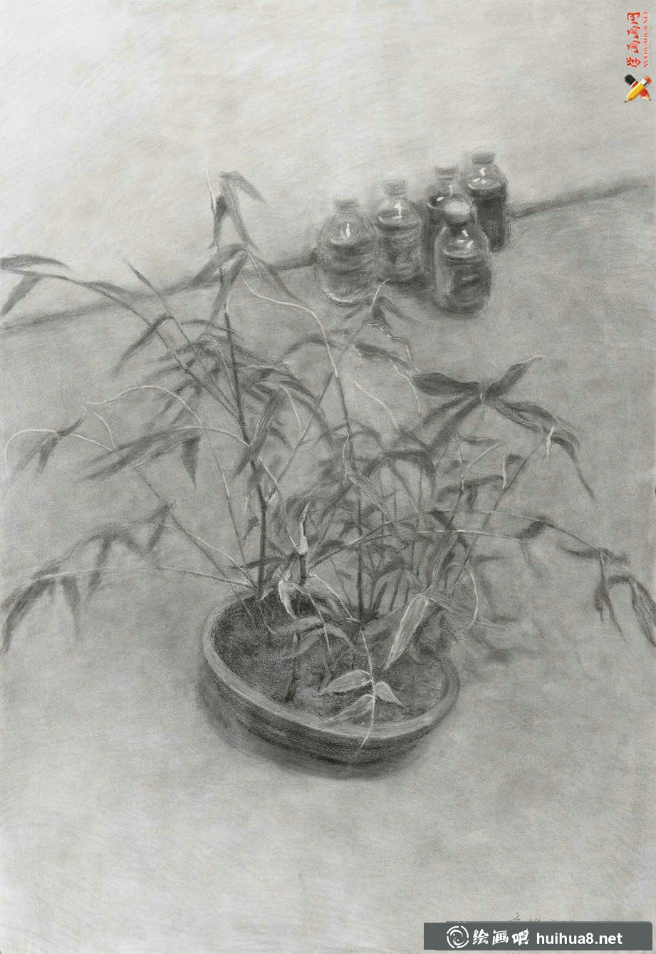 優(yōu)秀素描靜物范畫圖片(3)