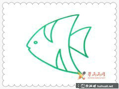 熱帶魚簡筆畫教程入門