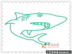 大鯊魚簡(jiǎn)筆畫插畫欣賞
