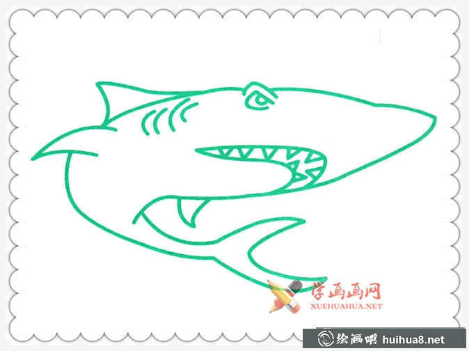 大鯊魚簡筆畫圖片(1)