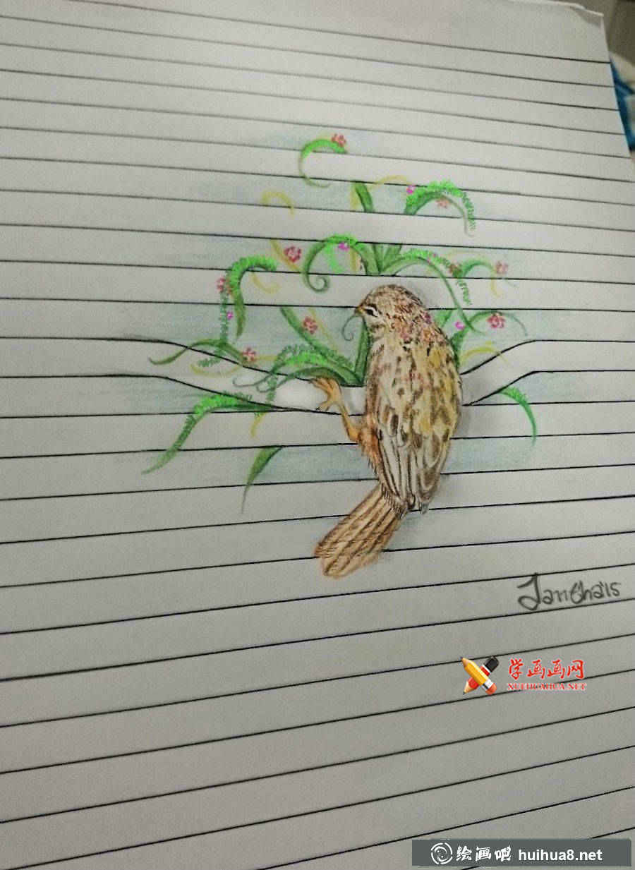 彩鉛畫小動物(6)