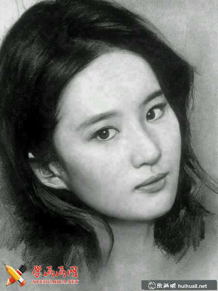 明星劉亦菲素描圖片(2)