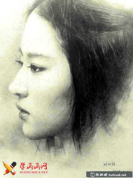 明星劉亦菲素描圖片(4)