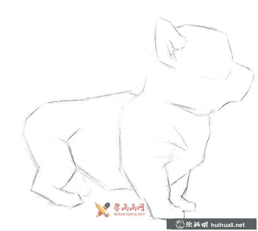 鉛筆畫教程_學(xué)用鉛筆畫一只小狗(2)