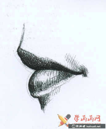 素描嘴的結(jié)構(gòu)及畫法步驟(2)