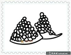 簡筆畫石榴教程大全