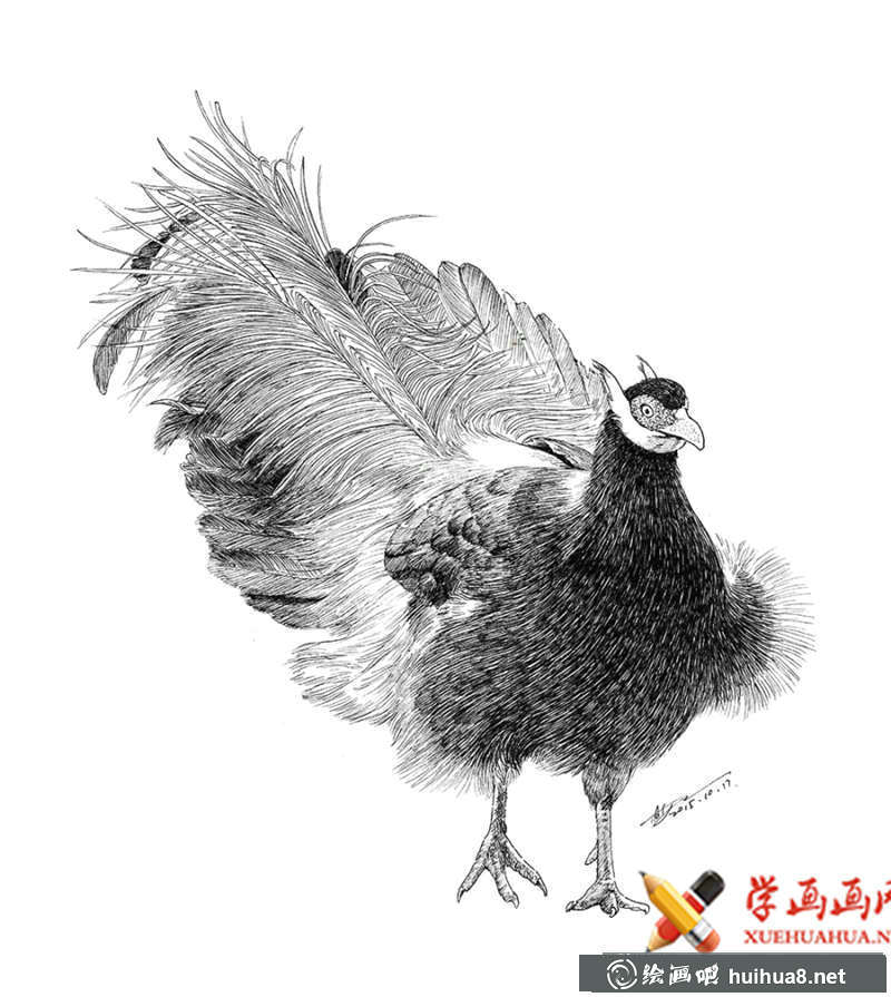 瀕危動(dòng)物系列素描畫圖片(5)