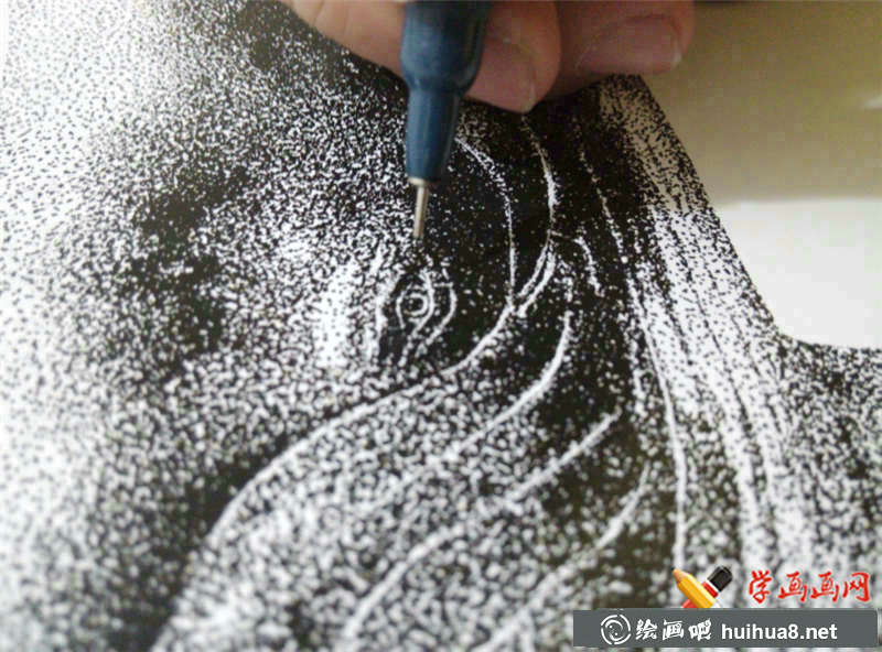 瀕危動(dòng)物系列素描畫圖片(6)