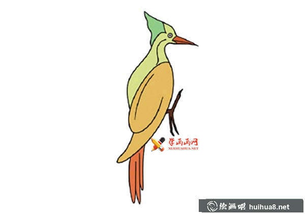 16幅彩色小鳥簡筆畫(1)