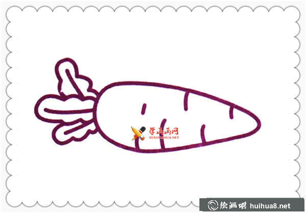 胡蘿卜簡筆畫圖片大全(2)