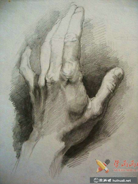 素描手圖片欣賞(2)
