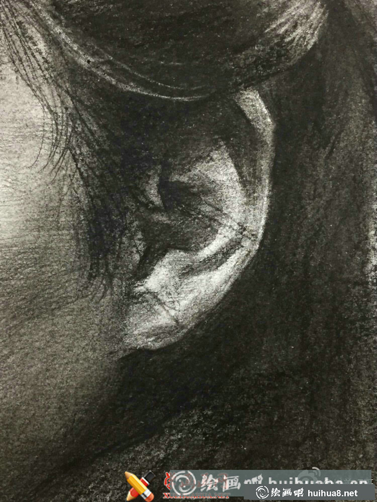 素描耳朵臨摹范畫圖片9幅(9)