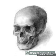七幅人頭骨素描范畫(huà)教程