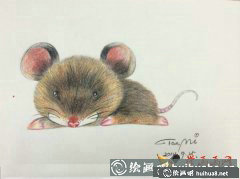 十二生肖萌萌噠彩鉛畫(huà)卷