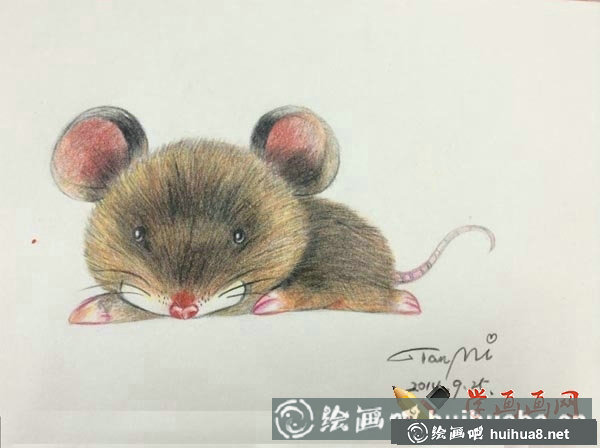十二生肖彩鉛畫圖片鼠