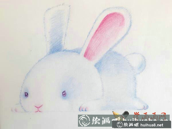 十二生肖彩鉛畫圖片兔