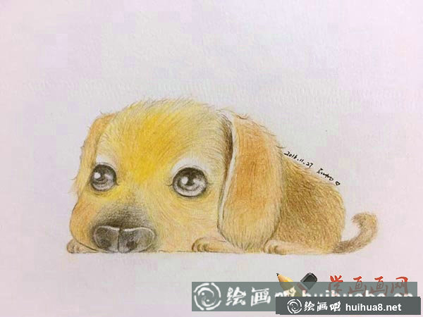 十二生肖彩鉛畫圖片狗