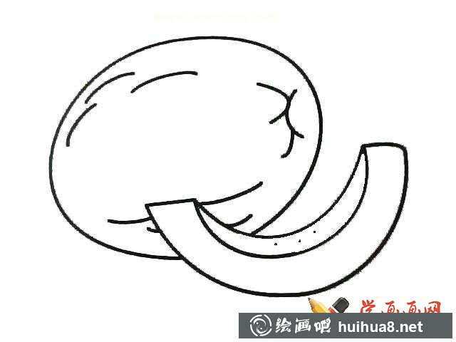 哈密瓜簡筆畫圖片_哈密瓜的畫法(1)