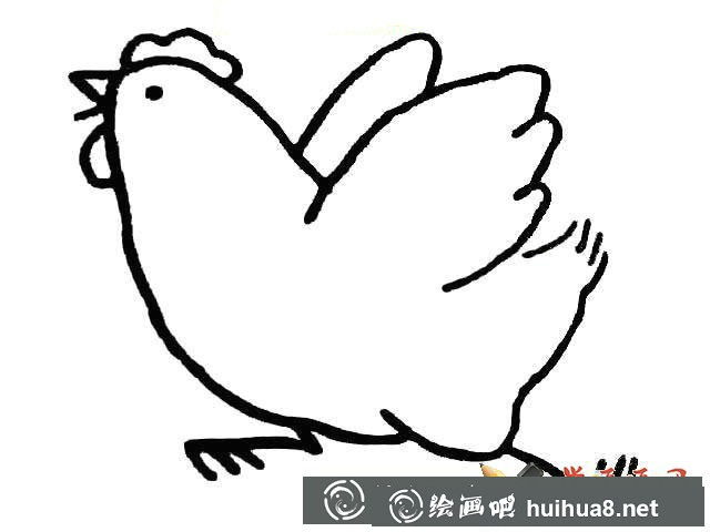 大公雞簡筆畫圖片大全(3)