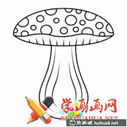 蘑菇簡筆畫美圖分享