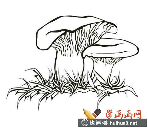 蘑菇簡筆畫圖片(5)