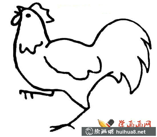 大公雞簡筆畫圖片大全(5)